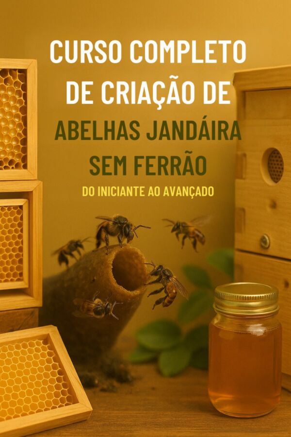 CURSO COMPLETO DE CRIAÇÃO DE ABELHAS JANDAÍRA SEM FERRÃO - DO INICIANTE AO AVANÇADO